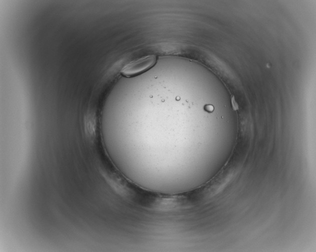 X0000111870072200907301125