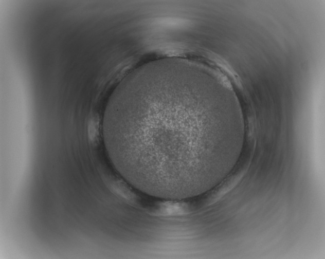 X0000111870073200907301125