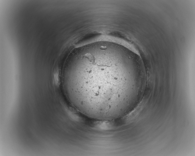 X0000111870074200907301125