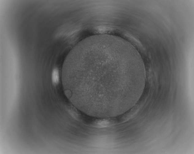 X0000111870075200907301125