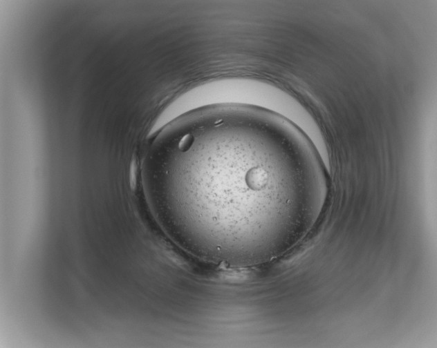 X0000111870076200907301125