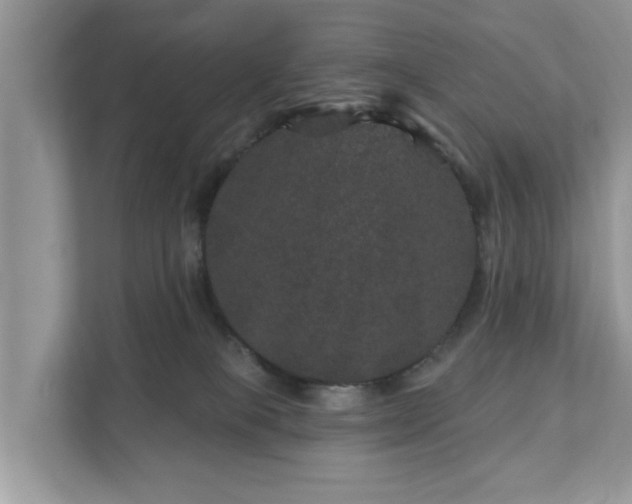 X0000111870085200907301125