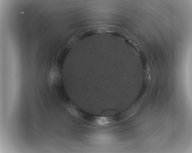 X0000111870091200907301125