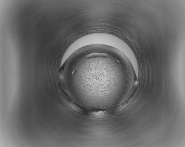 X0000111870092200907301125