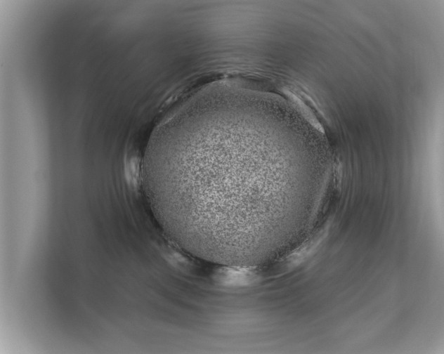 X0000111870093200907301125