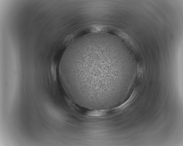 X0000111870094200907301125