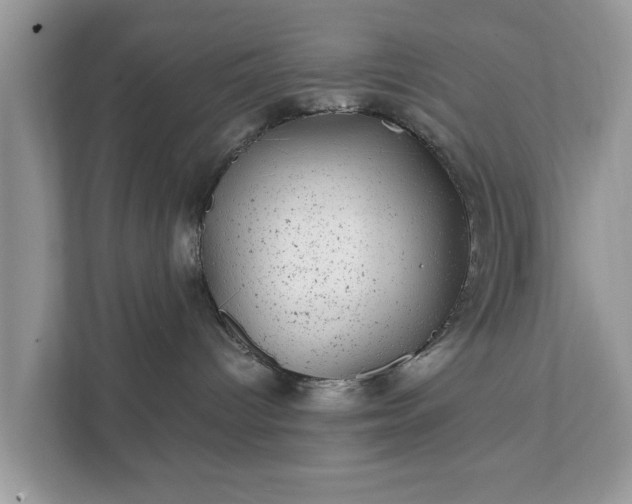 X0000111870096200907301125