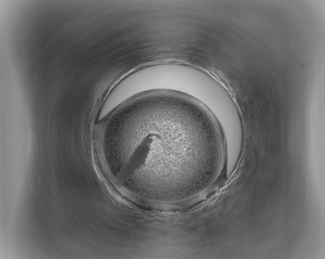 X0000111870097200907301124