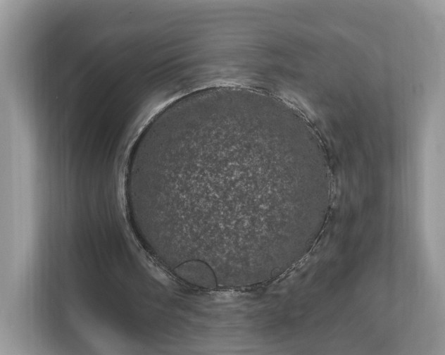 X0000111870098200907301124