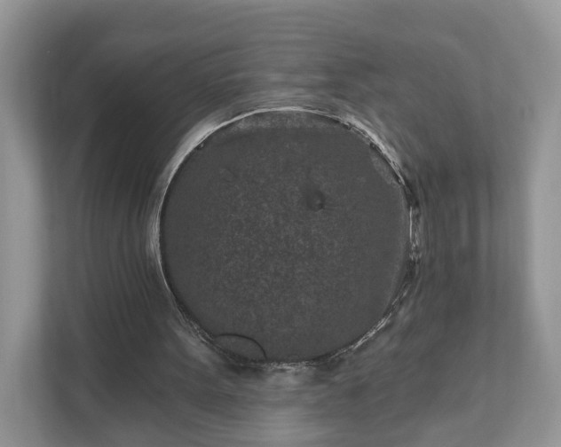 X0000111870099200907301124