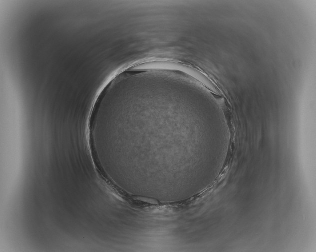 X0000111870100200907301124