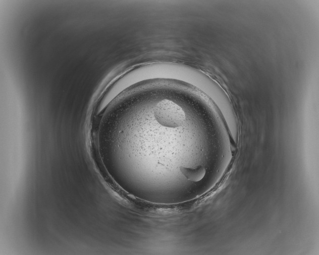 X0000111870101200907301124