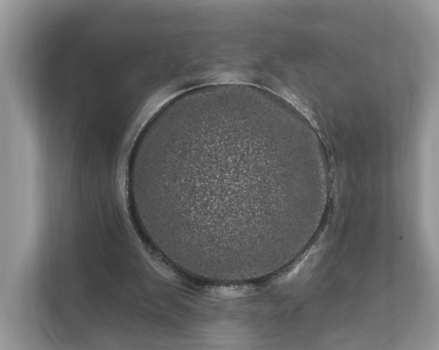 X0000111870103200907301124