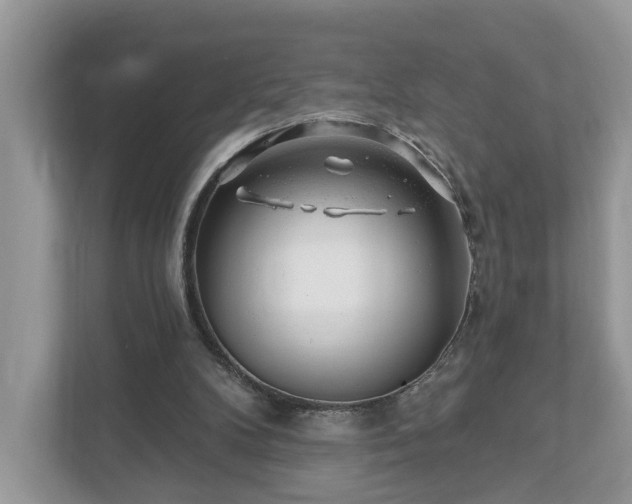 X0000111870104200907301124