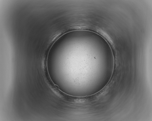 X0000111870105200907301124