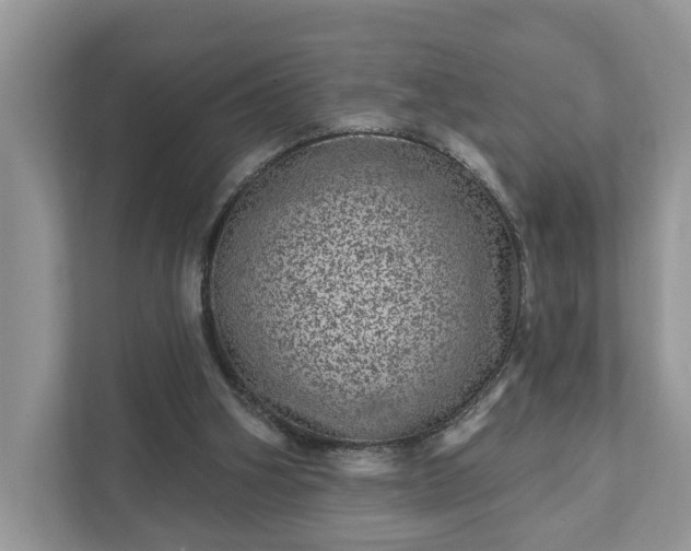 X0000111870106200907301124