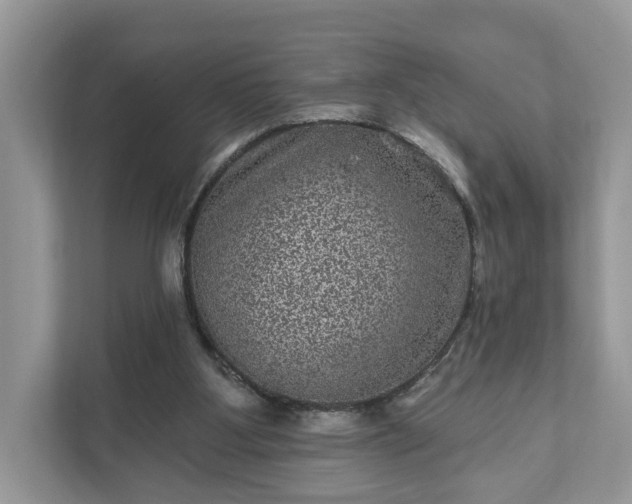 X0000111870107200907301124