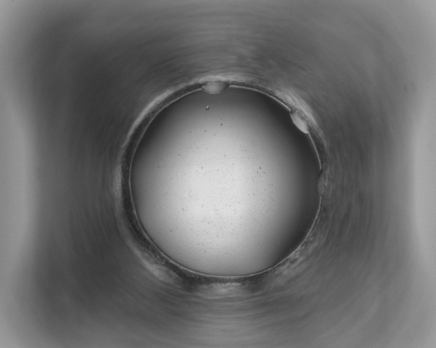 X0000111870108200907301124