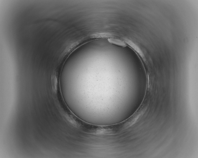 X0000111870109200907301124