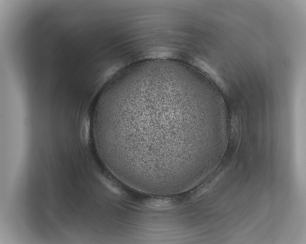 X0000111870110200907301124