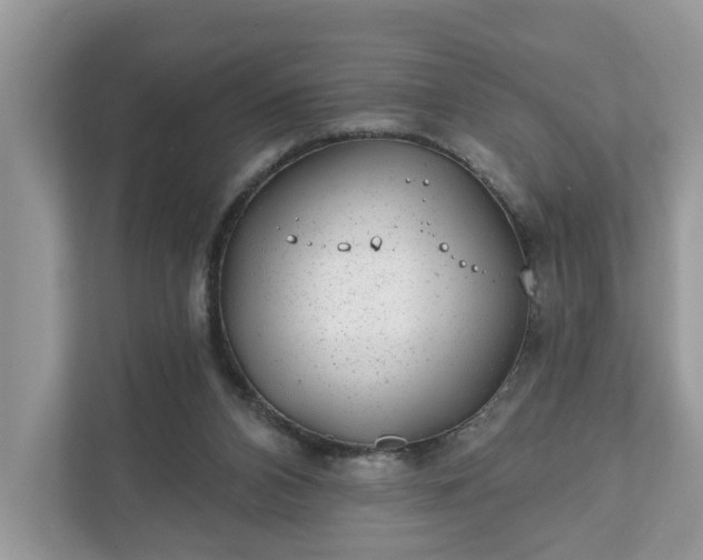 X0000111870112200907301124