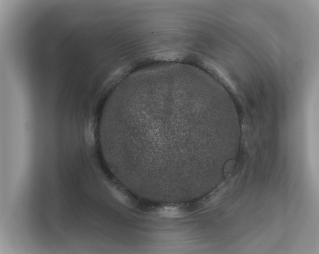 X0000111870114200907301124