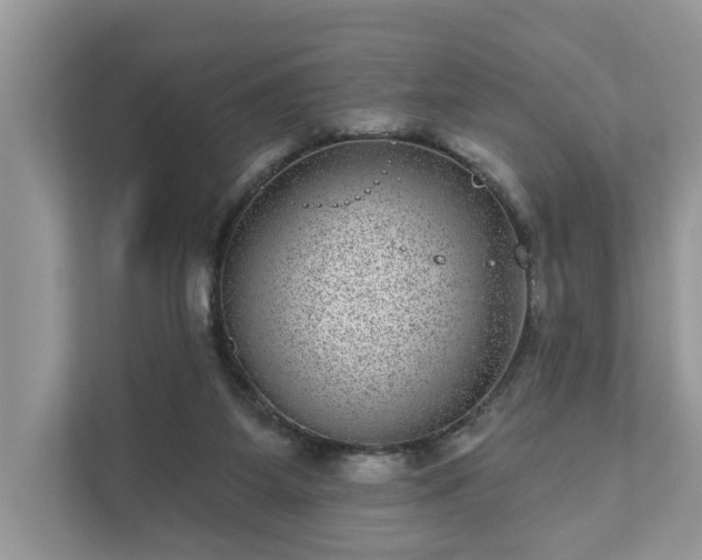 X0000111870115200907301124