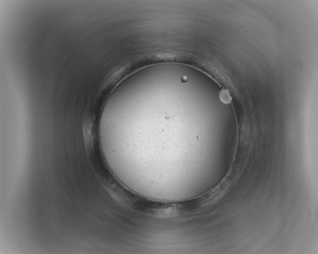 X0000111870116200907301124