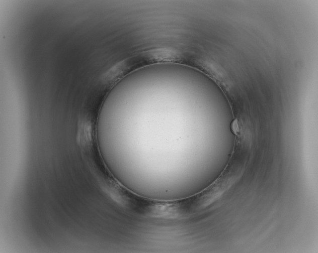 X0000111870117200907301124