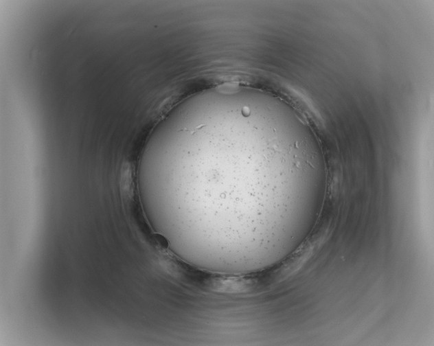 X0000111870121200907301124