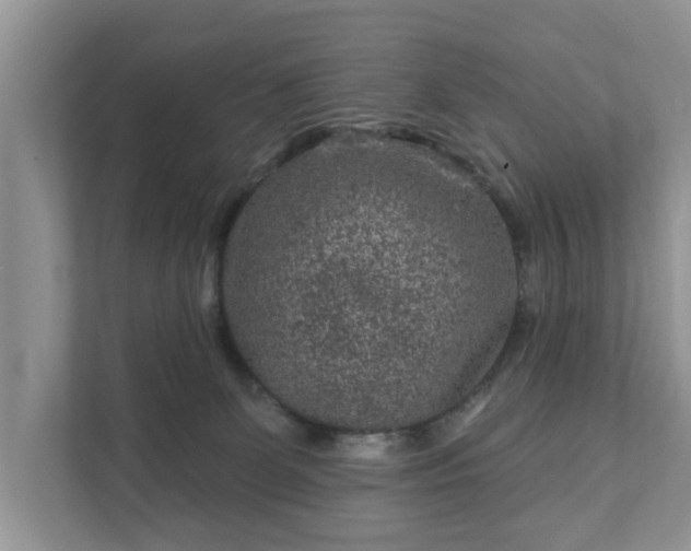 X0000111870131200907301124