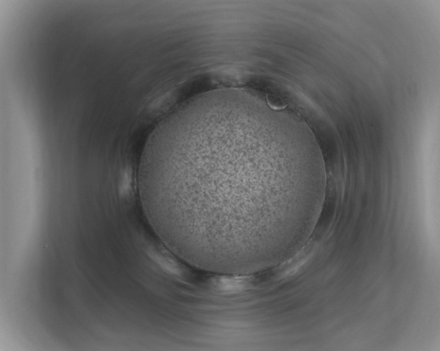 X0000111870134200907301124