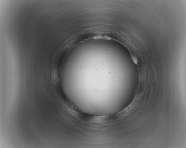 X0000111870136200907301124