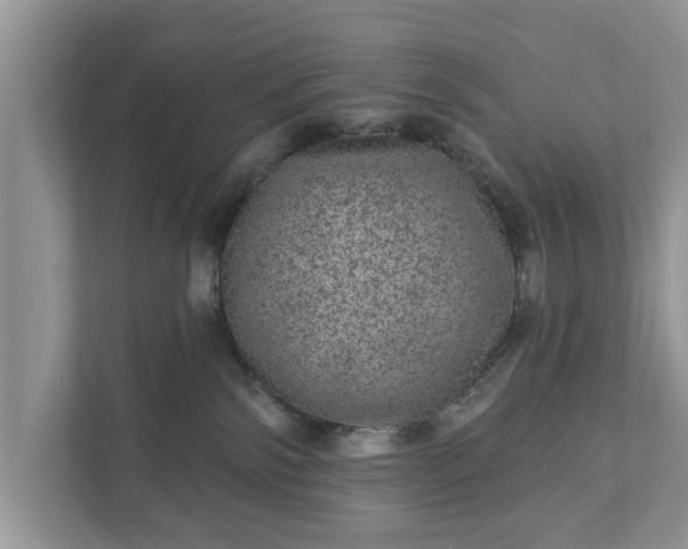 X0000111870138200907301124