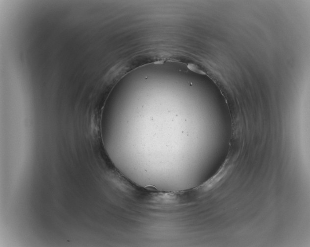 X0000111870140200907301124