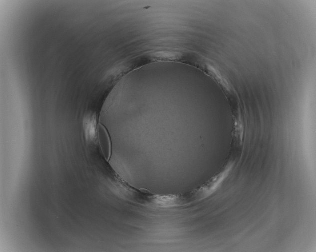 X0000111870143200907301124