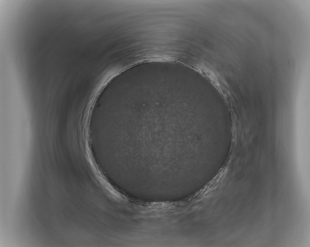 X0000111870145200907301123