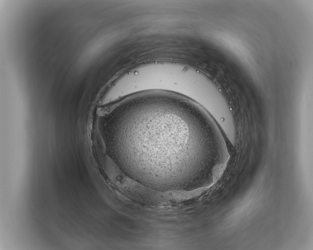 X0000111870146200907301123