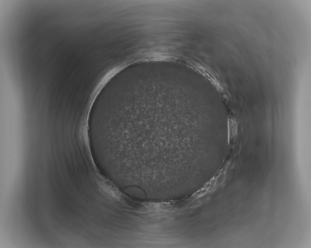 X0000111870147200907301123