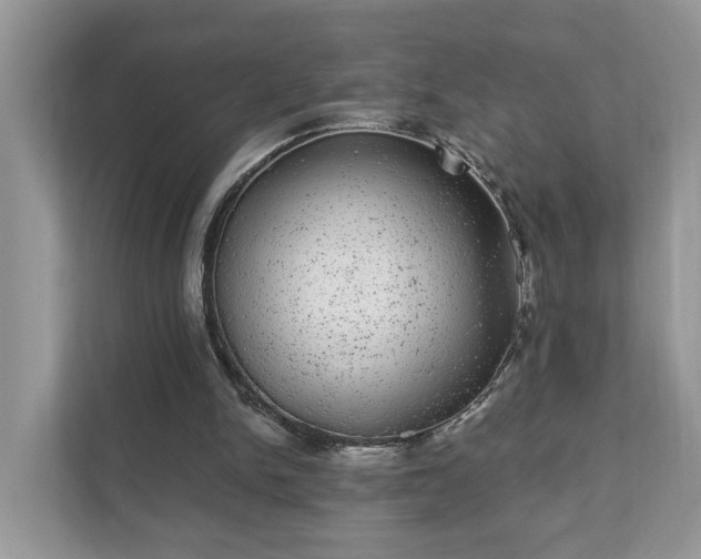 X0000111870150200907301123