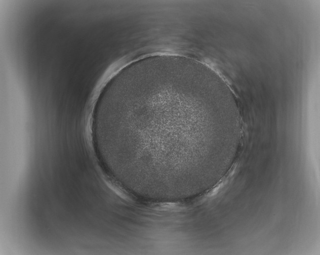 X0000111870151200907301123