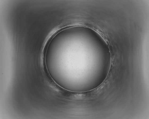 X0000111870152200907301123