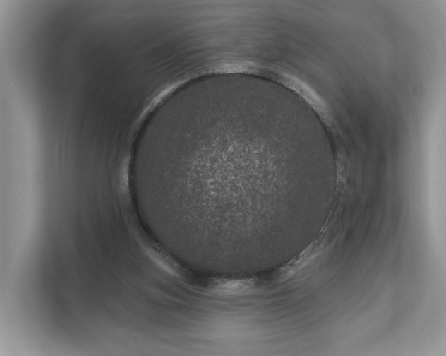 X0000111870155200907301123