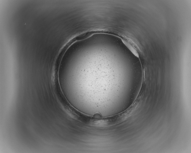 X0000111870156200907301123