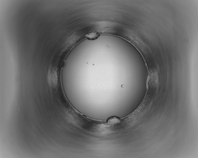 X0000111870158200907301123