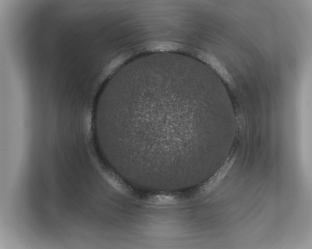 X0000111870159200907301123