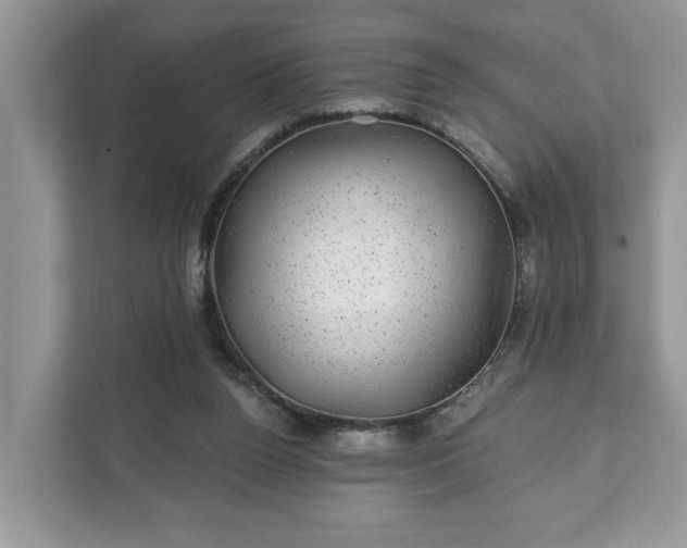 X0000111870160200907301123