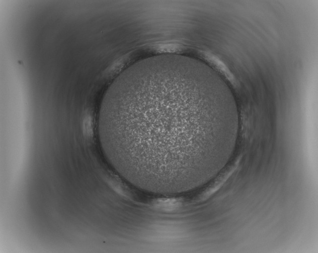 X0000111870161200907301123