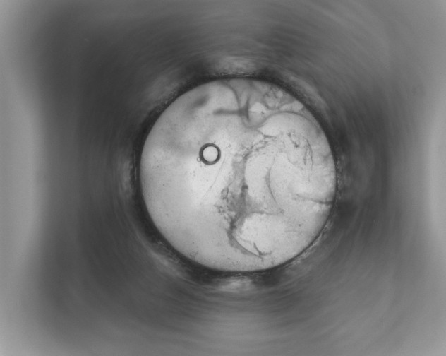 X0000111870162200907301123