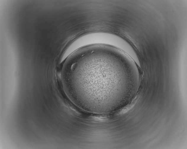 X0000111870164200907301123